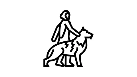 Domestication animals human evolution line icon animation Stock Footage 326134039