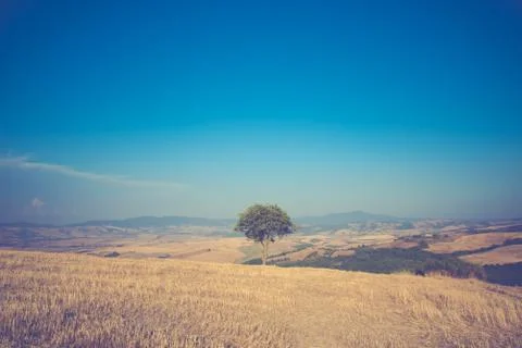 Dominating the immensity 스톡 사진