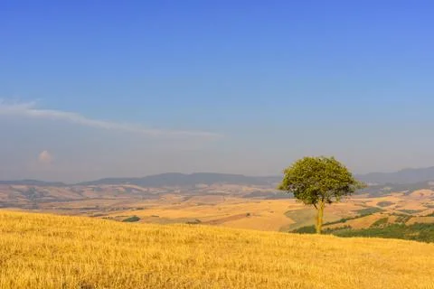 Dominating the immensity Stock Photos