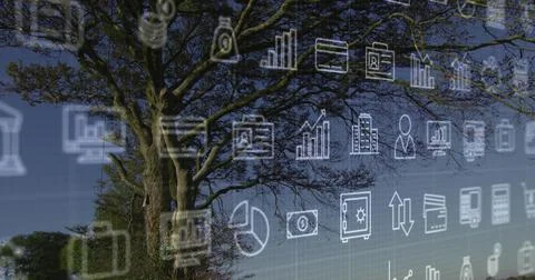 Dominating large deciduous tree spreading branches across park, with faint grid Stock Photos