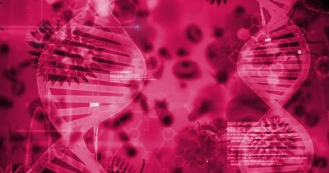 Dominating two DNA helices floating over lab screen, showing virus spikes, blood 스톡 일러스트