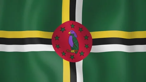 Dominica animated flag. Seamless loop. 4K Stock-Footage 145437117