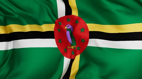 Dominica cloth flag background loop Stock Footage 310849053