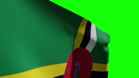 Dominica Flag Close Видео 134501343