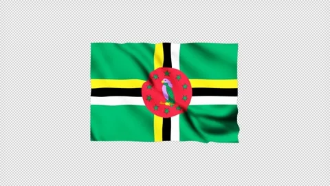 Dominica flag fluttering in the wind Stock Footage 305811615