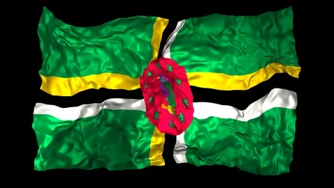 Dominica flag Stock Footage 110800244