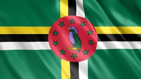 Dominica Flag Stock Footage 123712484