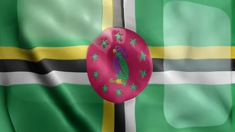Dominica Flag Stock Footage 133776767