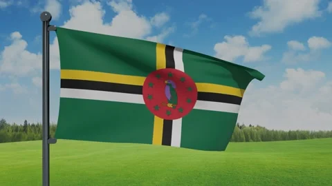 Dominica Flag Stock Footage 151862283