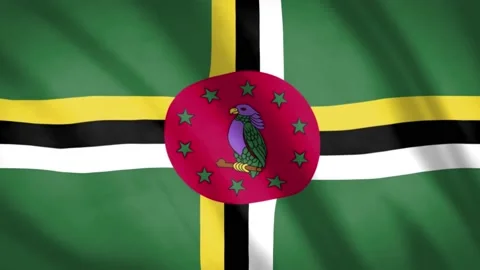 Dominica Flag  Stock Footage 188112672