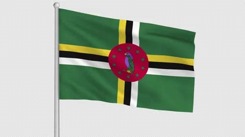 Dominica Flag Video stock 226985046