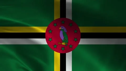 Dominica Flag Stock Footage 336903491