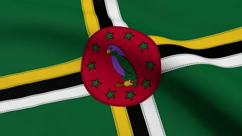 Dominica Flag Loop Stock Footage 241178426