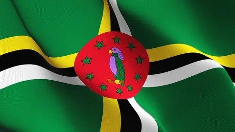 Dominica flag loop waving on wind. Stock Footage 119198699