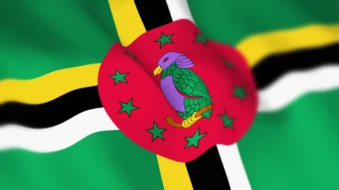 Dominica Flag Seamless Loop 4k 60fps on Sky Background Stock Footage 340346208