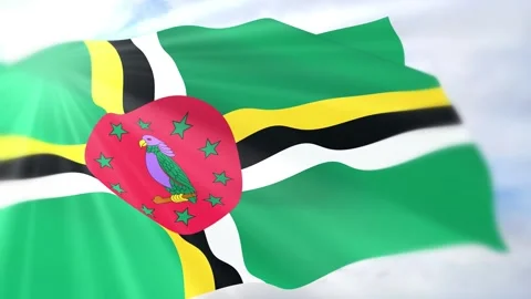 Dominica Flag Seamless Loop 4k 60fps on Sky Background Stock Footage 340624121