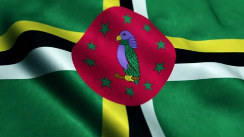 Dominica flag - seamless loop Video stock 219003701