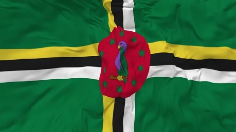 Dominica Flag Seamless Looping Background Waving Slow Motion Stock Footage 234109675