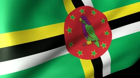 Dominica Flag Waving Stock Footage 12204802