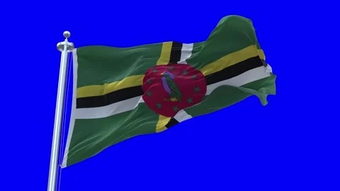 Dominica Flag Waving in Loopable and Textured green screen background Stock Footage 296876607