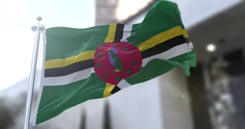Dominica-flag-waving-seamless-loop-4k-60fps Stock Footage 332414903