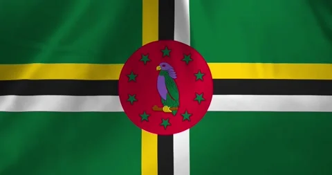 Dominica flag waving with the wind background loop video animation Video stock 327171865