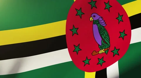 Dominica flag waving in the wind. Looping sun rises style.  Animation loop Stock Footage 48594084