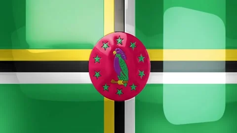 Dominica Stock Footage 133771048