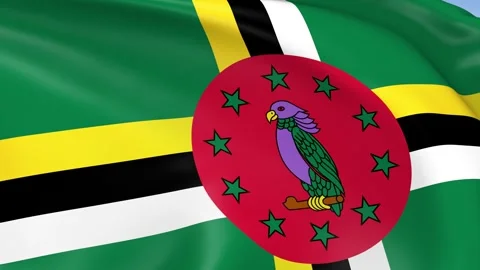 Dominica Waving Flag Background Loop Stock Footage 317844100