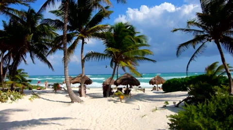 Dominican beach Stock Footage 45879024