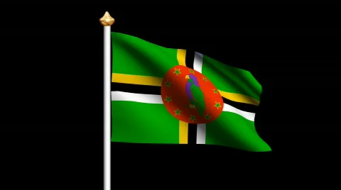 Dominican flag Video stock 563530