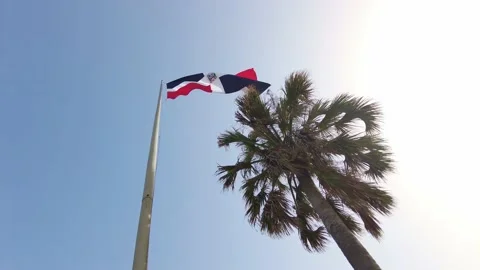 Dominican flag 스톡 동영상 157642413