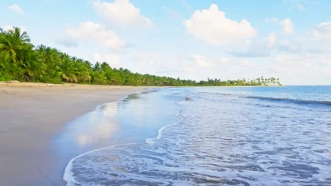 Dominican Republic beaches. 스톡 동영상 341973468