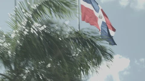 Dominican Republic - Driving under Flag and Palm Trees Stock Footage 181568596