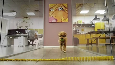 Domino 2 動画素材 266517650