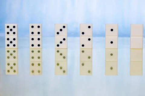 Domino pieces with reflection on the table Stock Photos