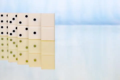 Domino pieces with reflection on the table Stock Photos