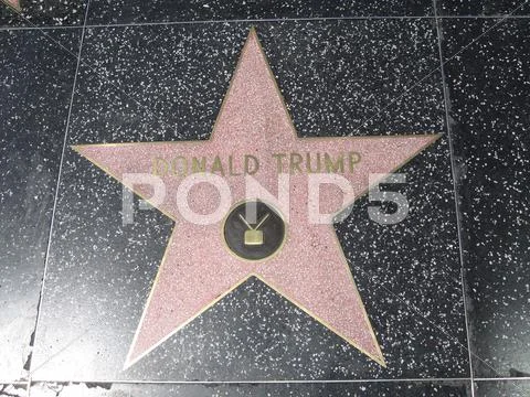 Donald Trump Star Stock Photos