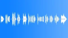 DonalDuckSound Effect