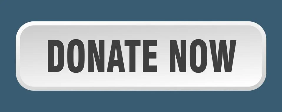 Donate now button. donate now square 3d push button Stock Illustration