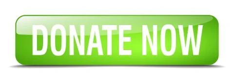 Donate now green square 3d realistic isolated web button Stock Illustration
