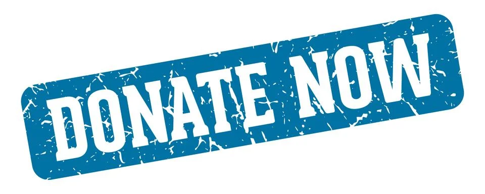 Donate now rectangular sign. donate now stamp Stock Illustration