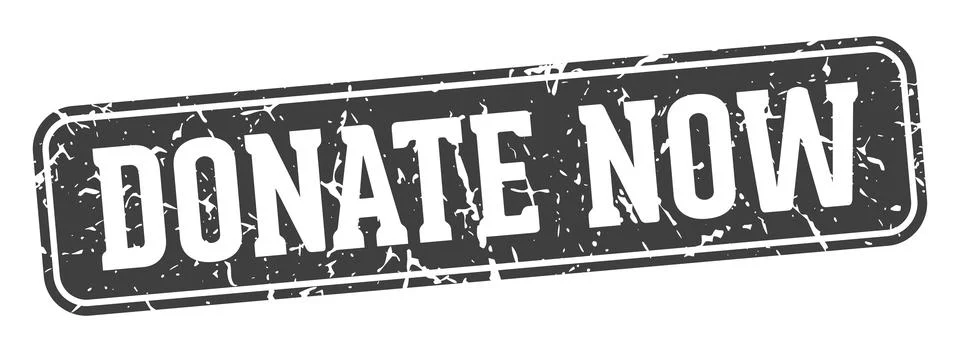 Donate now rectangular sign. donate now stamp Stock Illustration