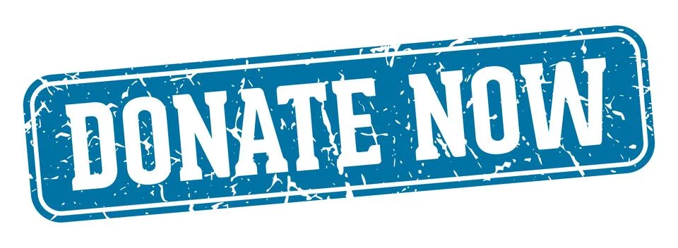 Donate now rectangular sign. donate now stamp Stock Illustration