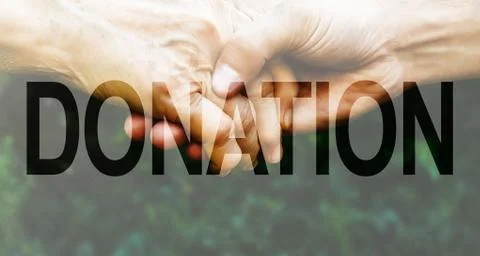 Donation Transparent Text Effect, white background. Stock Photos