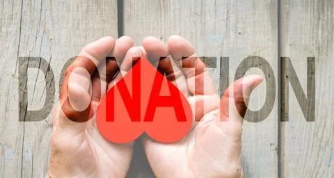 Donation Transparent Text Effect, white background. Stock Photos