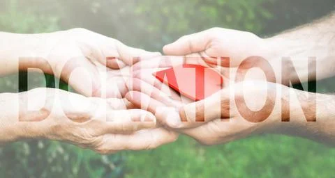 Donation Transparent Text Effect, white background. Stock Photos