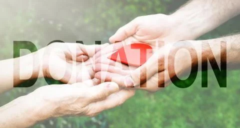 Donation Transparent Text Effect, white background. Stock Photos