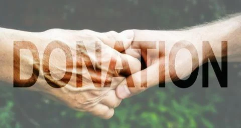 Donation Transparent Text Effect, white background. Stock Photos