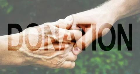 Donation Transparent Text Effect, white background. Stock Photos